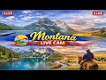 LIVE Ultimate Montana Webcam Tour Glacier NP Yellowstone Big Sky Country NOW
