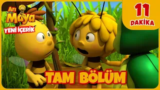 🐝Arı Maya | Maya'nın Bahçesi🌸🌻| Yeni İçerik 💛@Minika​