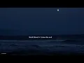 Download Lagu Scott Street × I know the end - Phoebe Bridgers (lyrics) Tiktok version