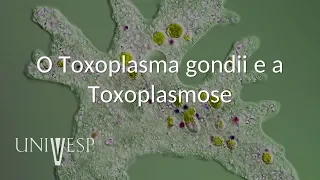 Parasitologia - Aula 05 - O Toxoplasma gondii e a Toxoplasmose