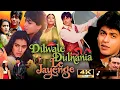 Download Lagu Dilwale Dulhania Le Jayenge Full Movie 1995 | Shah Rukh Khan | Amrish Puri | Kajol | Review \u0026 Facts 