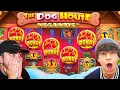 We Got 5 SCATTERS on DOG HOUSE MEGAWAYS