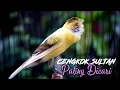Download Lagu CENGKOK SULTAN PALING DICARI - MASTERAN KENARI CENGKOK MEWAH BLACKTHROAT GACOR SUARA JERNIH