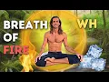 Breath Of Fire + WH Breathing| Guided Breathwork (3 rounds)