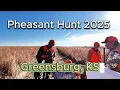 Kansas Pheasant Hunt 2025 Upland Inn Hunts Experience