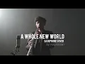 A Whole New World (Saxophone Cover by Willy Wildan)