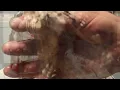 St James The Apostles - Gothic Ice Cream
