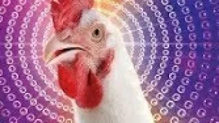                      دندنها