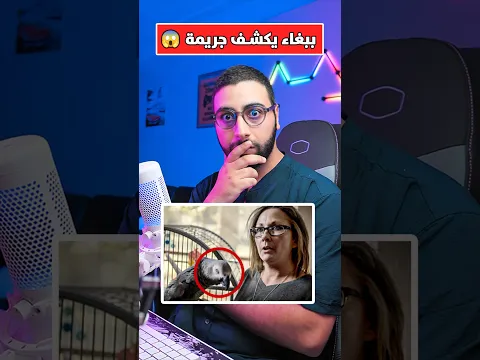 الببغاء الذى كشف لغز الجريمة 😱🚨