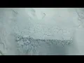 Asake - Forgiveness (Official Video)