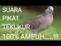 Download Lagu SUARA PIKAT TEKUKUR 100% AMPUH