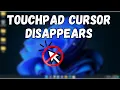 Laptop Mouse Cursor not Showing Touchpad Cursor Disappears on Windows