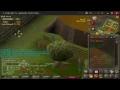 osrs - Beaver pet after 24 1m woodcutting experience