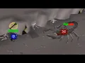 HCIM Hardcore Ironman vs The WILDERNESS DIARY