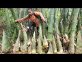 Download Lagu panen rebung raksasa, telur bebek masuk pasar untuk dijual | Ly Thi Tam