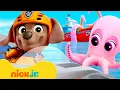Download Lagu PAW Patrol Sea Creature Rescues \u0026 Underwater Missions! 🐙 w/ Ryder | 10 Minutes | Nick Jr.