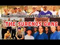 Surenos Gang Everything you need to know about