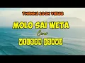 Download Lagu LAGU TERBARU ENDE LIO 2023 | MOLO SAI WETA COVER - WILSON DSAWU (OFFICIAL LYRIC VIDEO)