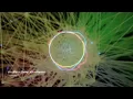 The Prodigy - Mindfields (René LaVice Remix)