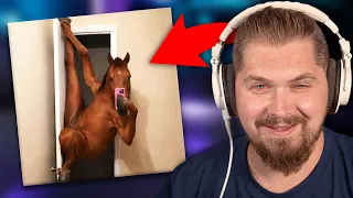 showing my extremely high friend dumb memes #3