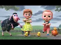 Download Lagu A Ram Sam Sam Song For Kids + More Nursery Rhymes | Beep Beep Nursery Rhymes