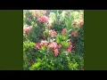 Download Lagu Tangan Bersyukur Hati Bahagia