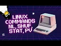Mastering Linux nl shuf stat and pv Commands Explained