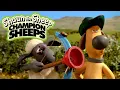 Download Lagu Archery 🏹 Championsheeps 🐑 Shaun the Sheep #sport #ShaunTheSheep