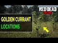 Golden Currant Locations for Daily Challenges - Red Dead Online RDR2