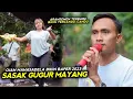 Download Lagu ARANSEMEN TERBARU SASAK BAPER GUGUR MAYANG BIKIN TERCANDU - CANDU || KECIMOL MHS TERBARU 2023