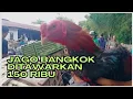 Download Lagu Harga ayam bervariasi sesuai jenis dan ukuran ayam di pasar hewan Purbalingga