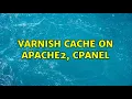 Varnish Cache on Apache2 Cpanel 4 Solutions