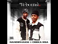 Nandipha808 & Ceeka RSA – Iyndaba Zakhona ft. Felo Le Tee & LeeMcKrazy