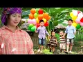 Download Lagu Linda single mother - Facing the turbulent return of her ex-husband | Ly Tu LinDa Vn