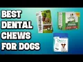 Best Dental Chews for Dogs Top 5 Dog Dental Chews