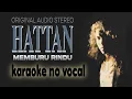 Download Lagu HATTAN - Memburu Rindu (karaoke)