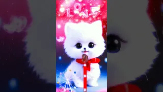 Hasbi Rabbi Jallallah حسبي ربي سامي يوسف Hasbi Rabbi Cat Trending Shorts 