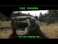 Laggy Bear You ve Seen On Tiktok Read Description