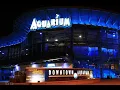 Denver Downtown Aquarium Revisited