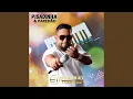 Download Lagu Eu Acho Que Sim
