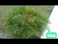 https://youtu.be/_Y-TW7yZeI4?si=cesnrlEr4_Ym4nmW
