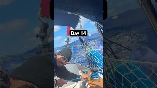 Day 14 sailing from Oregon to Hawaii. Kind of just another day lol