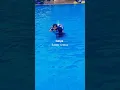 Download Lagu Kalau ada 9 nyawa 🎶