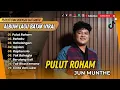 Jun Munthe - PULUT ROHAM | ROHOKU | HAHOLONGAN | HASIAN | LAGU BATAK VIRAL 2025