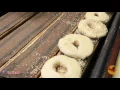 The Empire Plate - Willies bagel Cafe