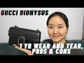 Gucci Dionysus Review Pros and Cons 1 Year Wear and Tear
