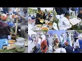 Download Lagu Ghanaian organised best party in the Park 2025 Stockholm #kwakumove 