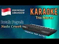 Download Lagu IWAK PEYEK Karaoke Cover PSR SX700