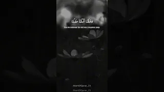سورة المؤمنون آية 12 13 14 صفحة 342 ياسر الدوسري 