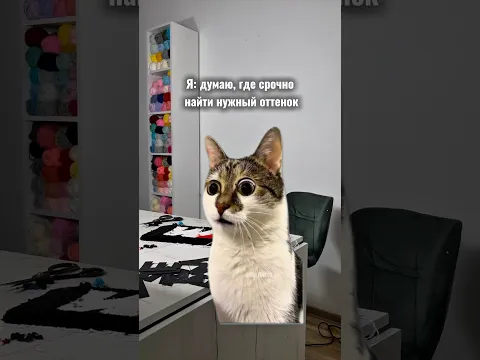 Наша работа на примере котиков😄
